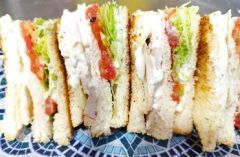 SANDWICH APOLO